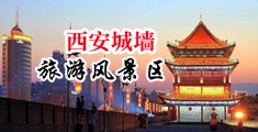 欧美美女射逼逼逼中国陕西-西安城墙旅游风景区